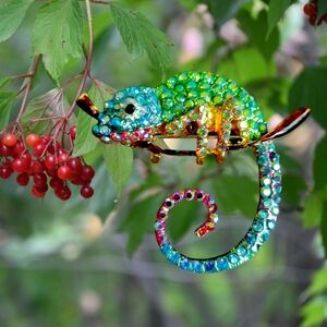 Colorful Chameleon Brooch